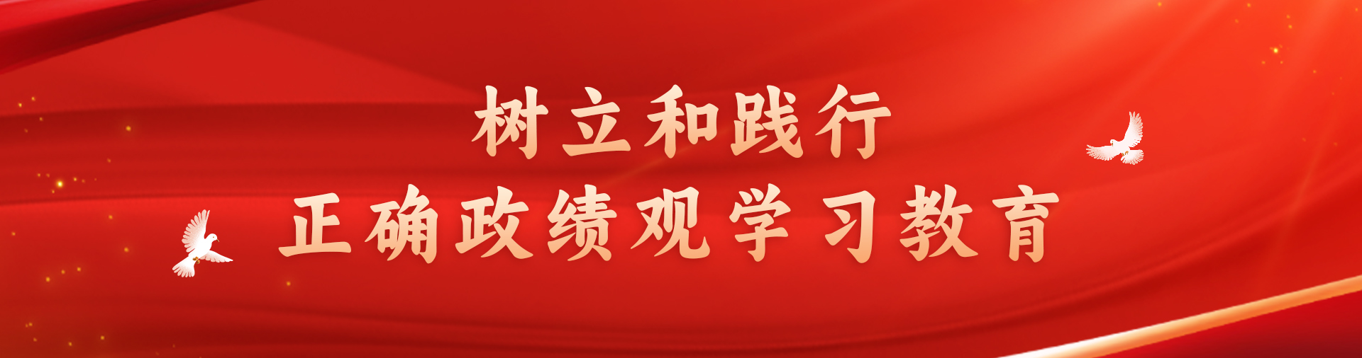 樹(shù)立和踐行正確政績(jī)觀(guān)學(xué)習(xí)教育